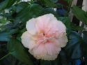 photo09