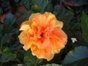 photo10
