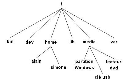 arborescence